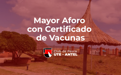 Aforo con Vacunas